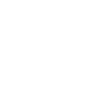 phone-flip-white